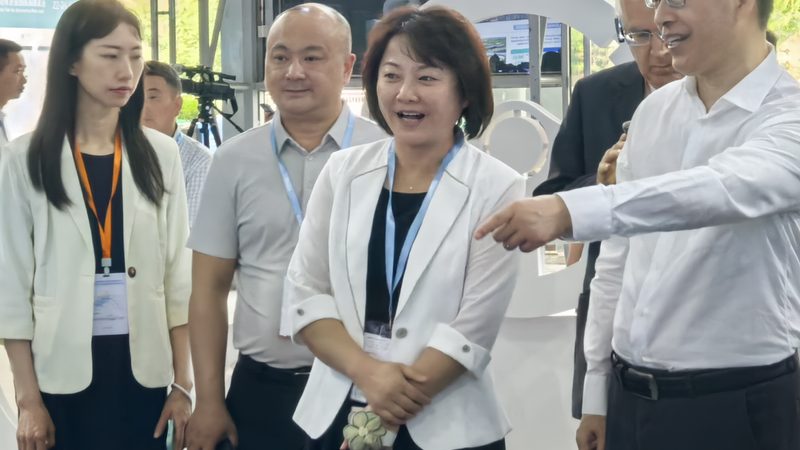变速箱油底壳垫片：揭秘其重要性及选购要点**